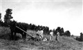 gård09.jpg