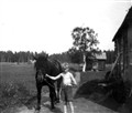 Olle Hästkarl.jpg