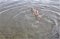 062.JPG