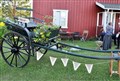 DSC_0499.JPG